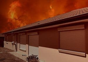 bushfire